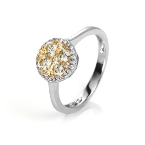 Ring  18kt Weißgold / Gelbgold mit 0,67ct Diamanten