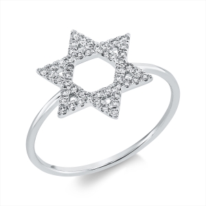 Ring 18 kt WG Stern