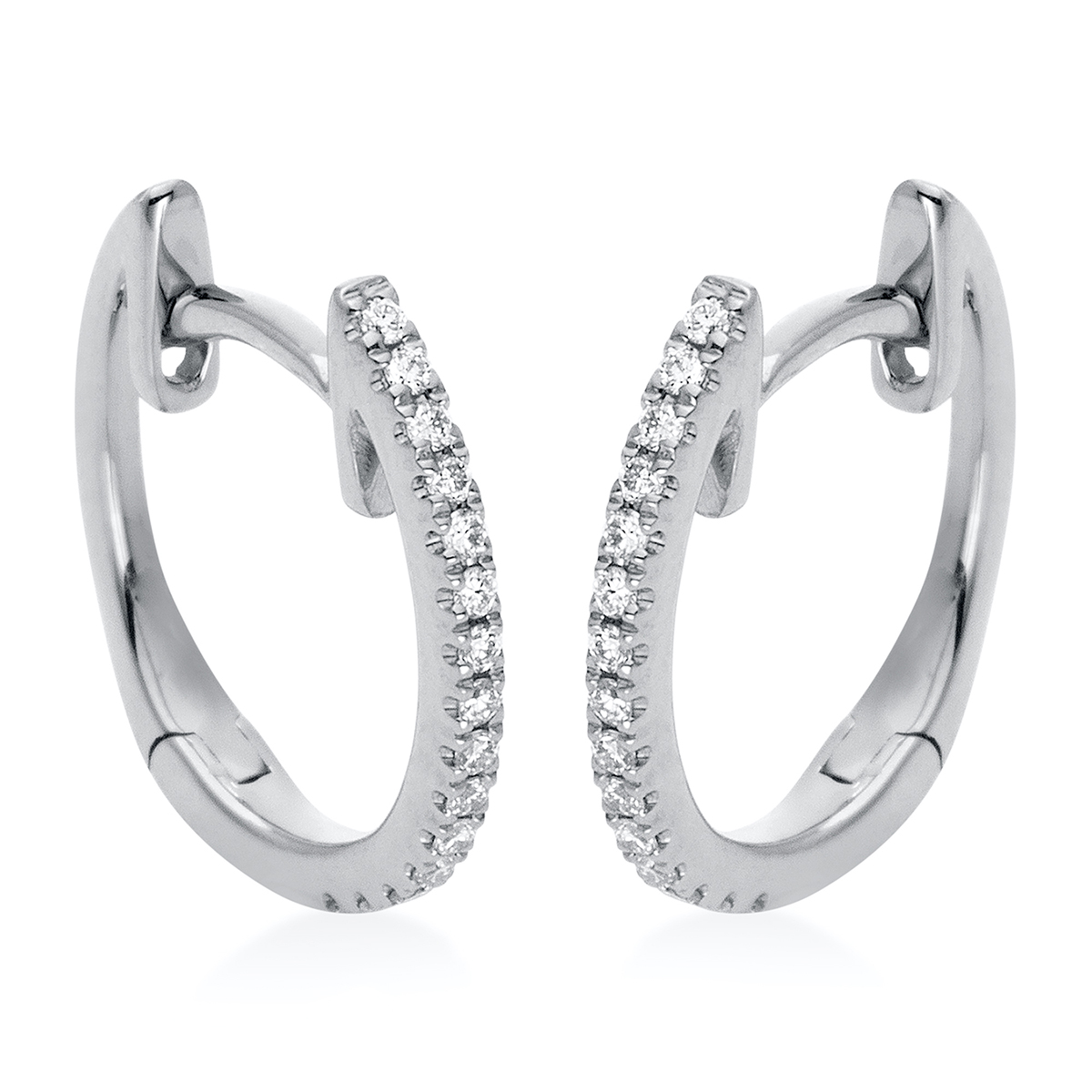 Creolen 18 kt WG