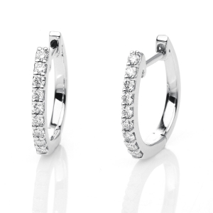 Creolen 18 kt WG