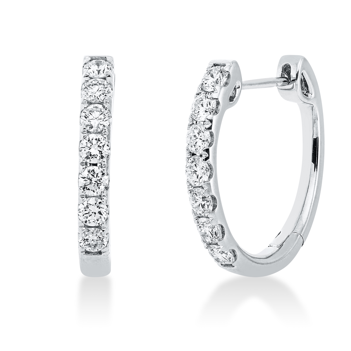 Creolen 18 kt WG