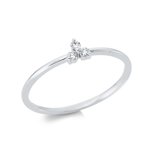 Ring 18 kt WG