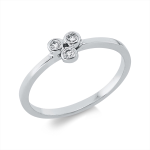 Ring Zarge 14 kt WG
