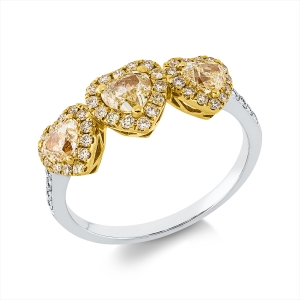 Ring 18 kt GG+WG
