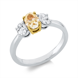 Ring 18 kt WG+GG