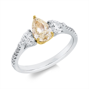 Ring 950 Pt GP