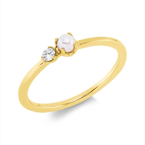 Ring  18kt Gelbgold mit 0,05ct Diamanten