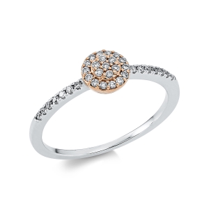 Ring 18 kt WG+RG