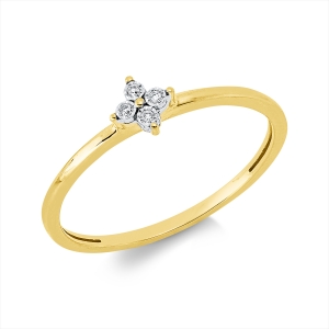 Ring 18 kt GG+WG