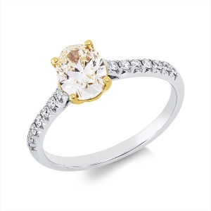 Ring 18 kt WG+GG