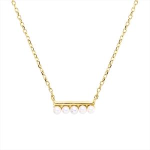 Collier  18kt Gelbgold mit ZÖ 40 cm + 42 cm mit 0,00ct Diamanten