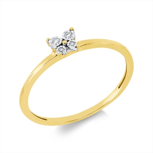 Ring 18 kt GG+WG