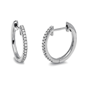 Creolen 18 kt WG
