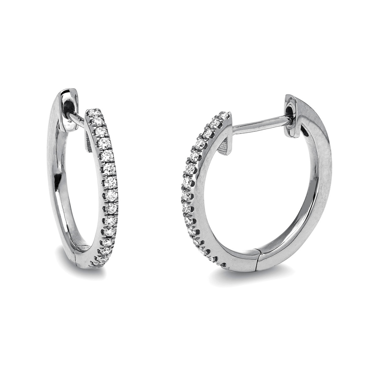 Creolen 18 kt WG