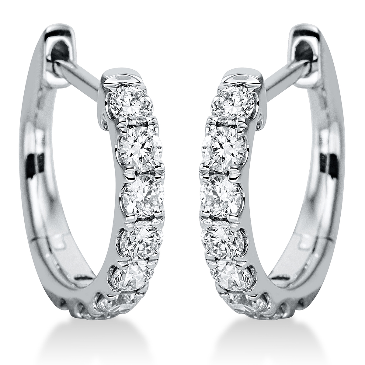 Creolen 18 kt WG