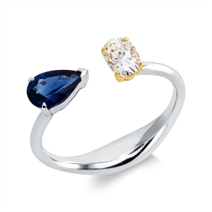 Ring 18 kt WG+GG