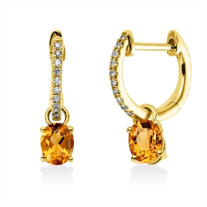 Ohrschmuck 18 kt GG Oval