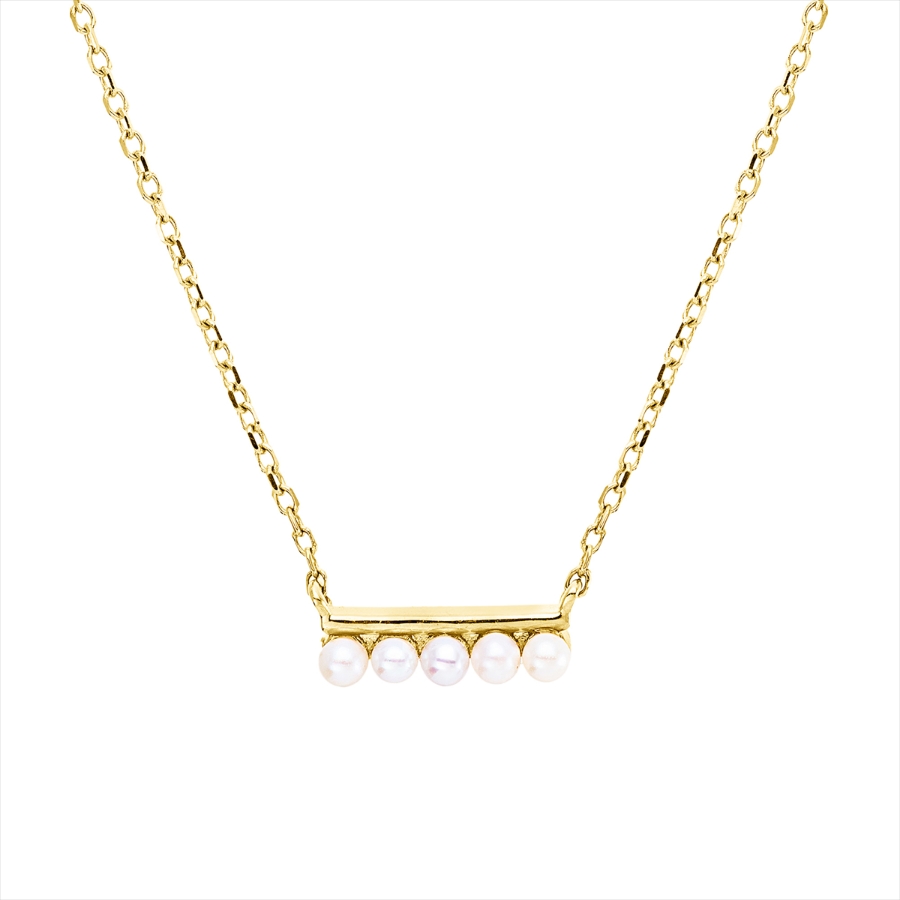Collier  18kt Gelbgold mit ZÖ 40 cm + 42 cm mit 0,00ct Diamanten