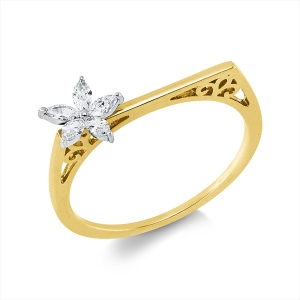 Ring 18 kt GG+WG