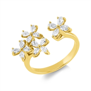 Ring 18 kt GG