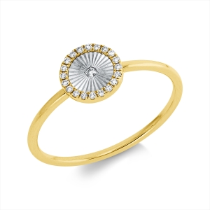 Ring Zarge 18 kt GG+WG Kreis