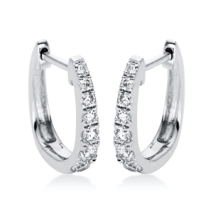 Creolen 18 kt WG